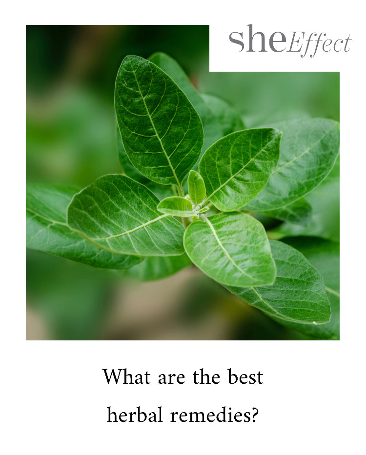About She Effect Wellness Herbal Remedies