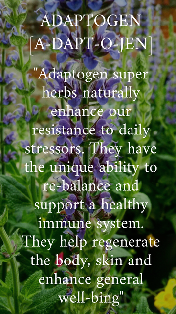 What are Adaptogens?