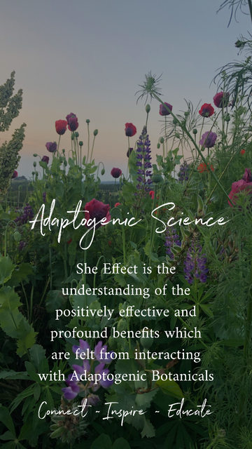 The She Effect Project