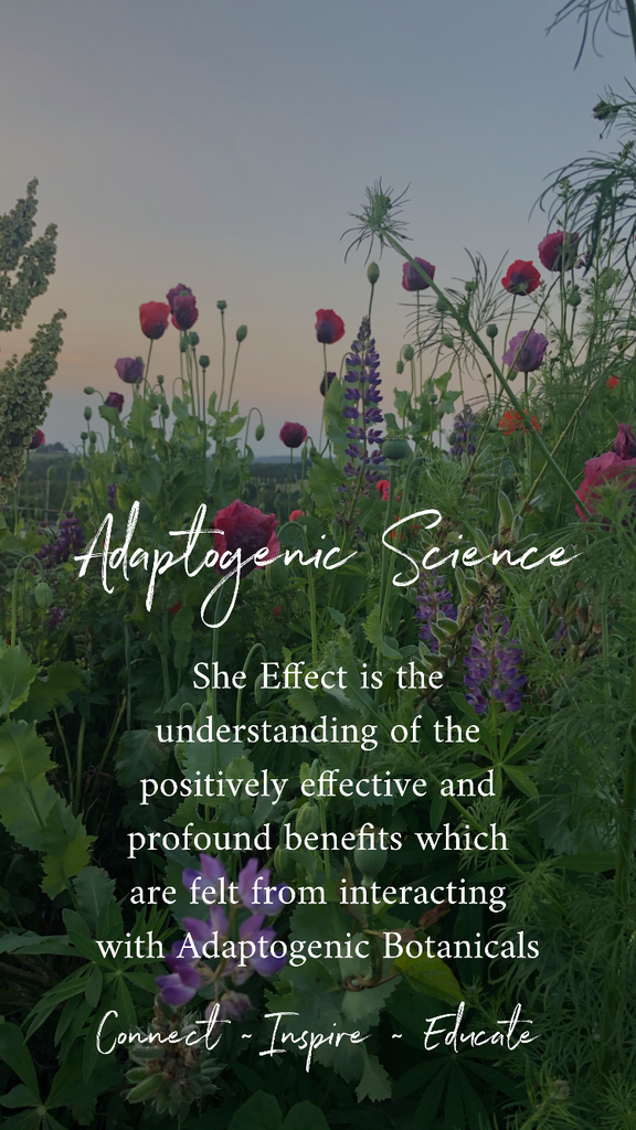 The She Effect Project