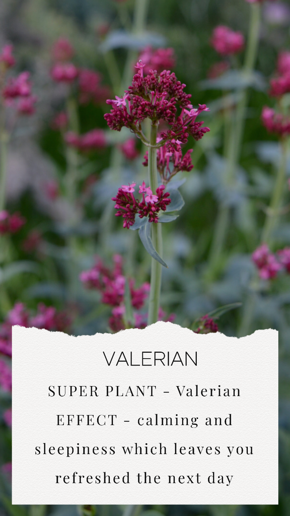 Valerian - Super Plant-Based Blog