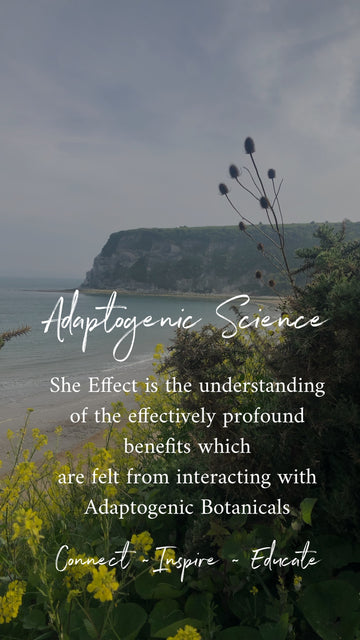 THE SHE EFFECT PROJECT - OXFORDSHIRE AND ISLE OF WIGHT