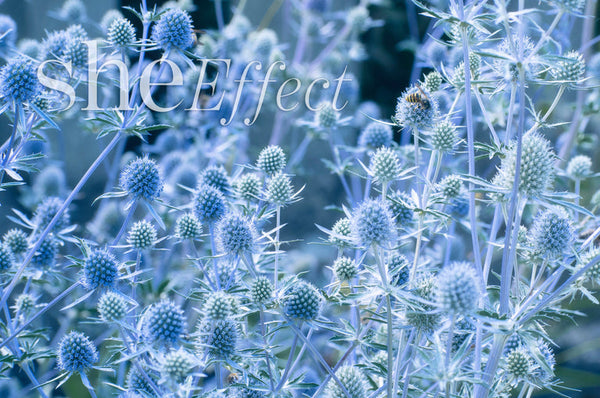Personalised Holistic Consultations and Therapeutic Remedy Services